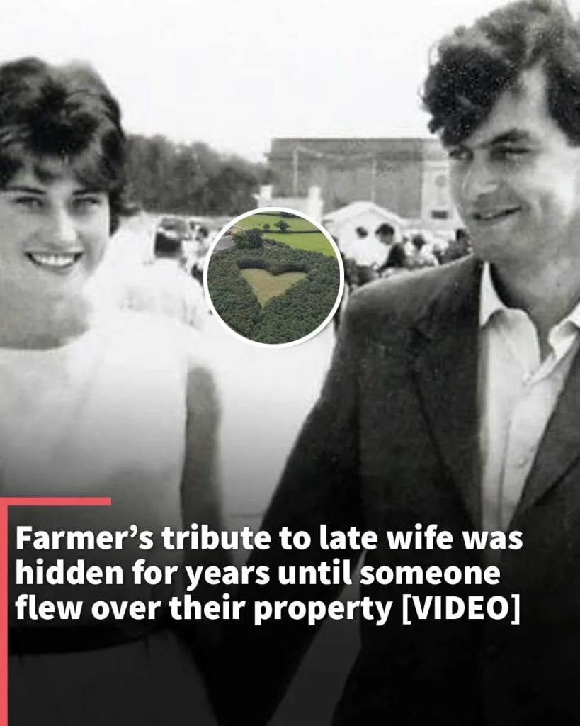Farmer’s tribute to late wife was hidden for years until someone flew over their property