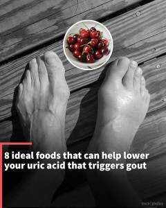 Instagram Stories: 8 ideal foods that can help lower your uric acid that triggers gout.