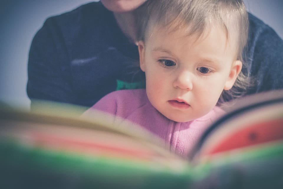 Toddler reading from a book