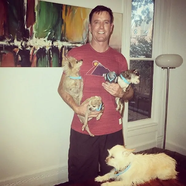 Steve Greig and a few of his senior dogs.