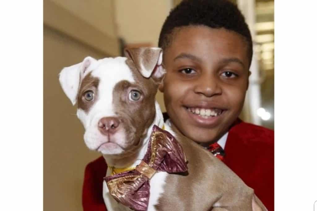 This teen makes bow ties for shelter dogs to help them look stylish and