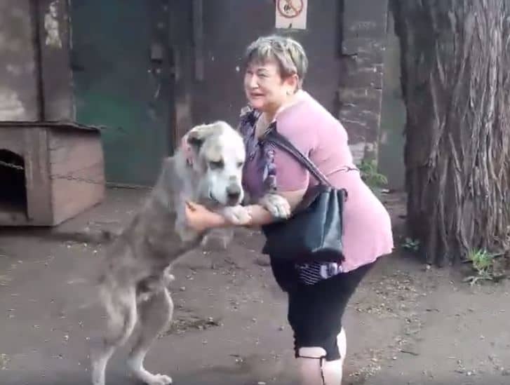 dog-human-reunite