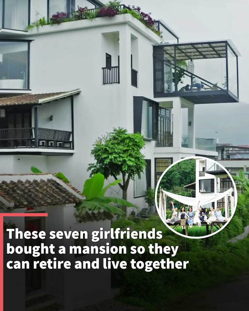 These seven girlfriends bought a mansion so they can retire and live together