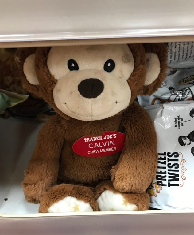 Trader Joe's has been hiding stuffed animals in store aisles for years(02)