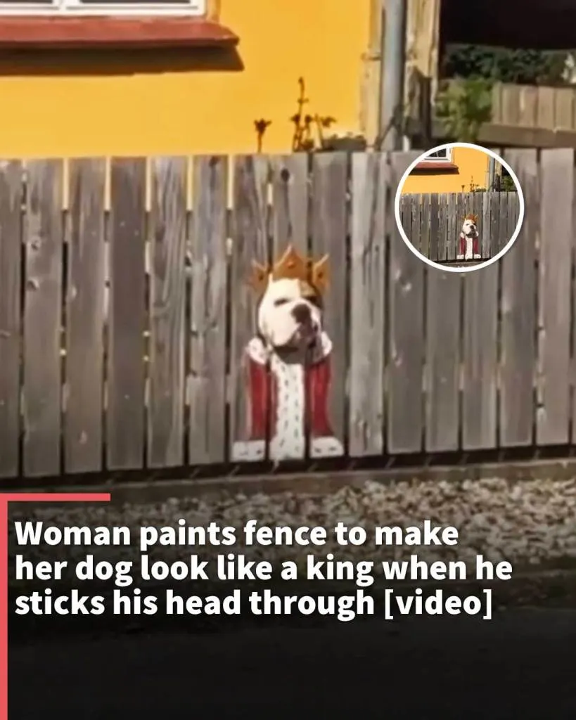 Woman’s whimsical painted fence makes her dog look like a king when he sticks his head through