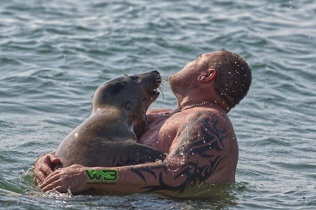 Sammy the seal swimming up to a man on the ocean