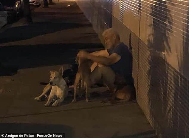Homeless man in Brazil with his six loyal dogs