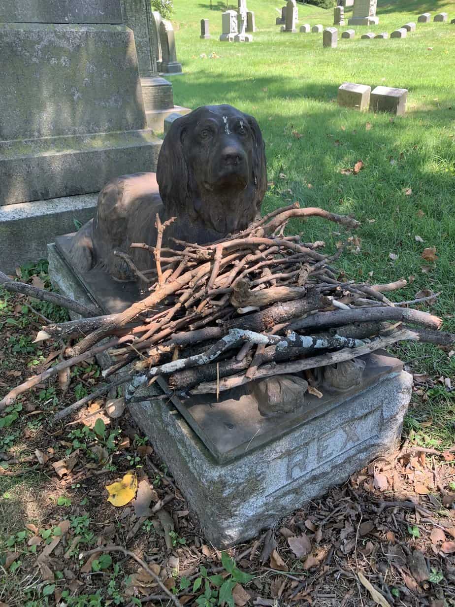 The statue of Rex the dog at Green-Wood Cemetery filled with sticks.