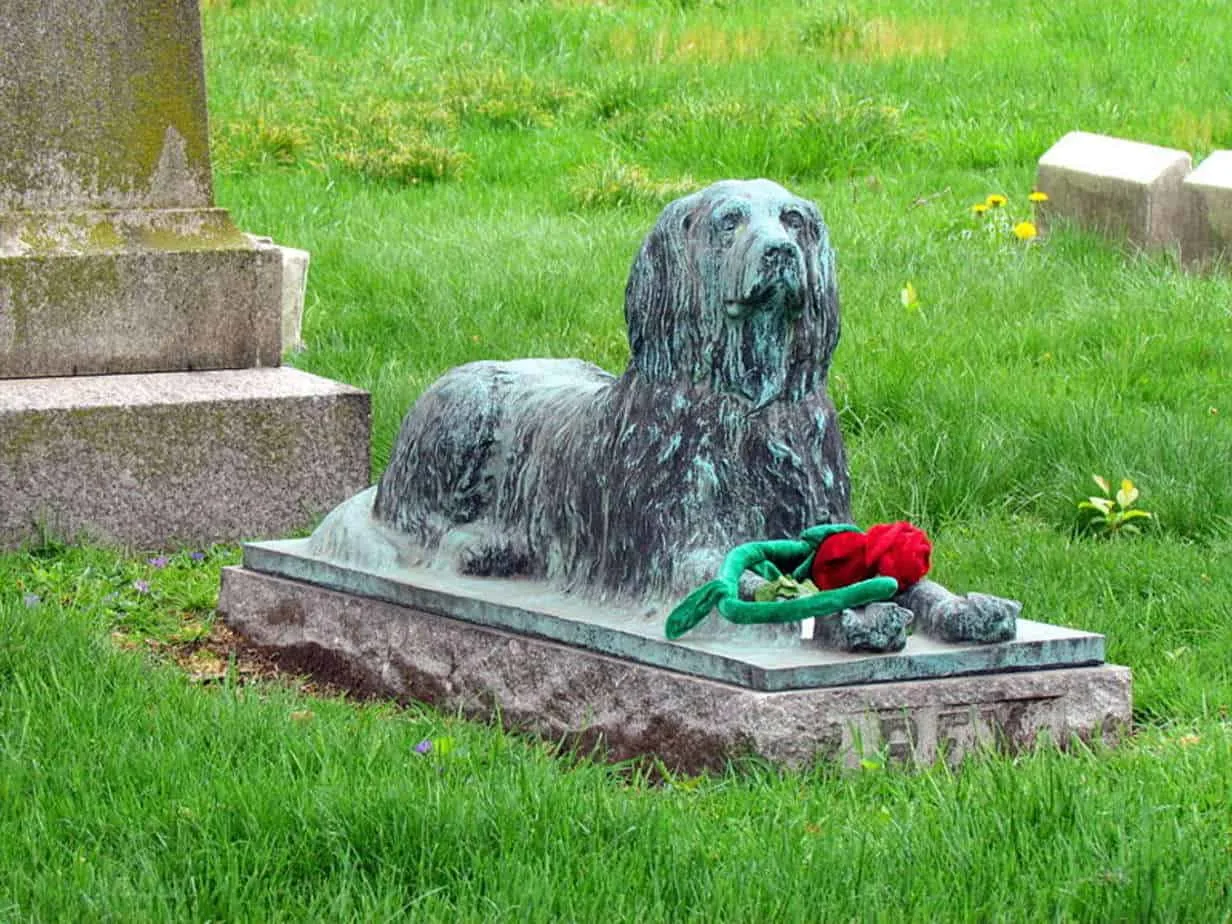 A statue of a dog at Green-Wood Cemetery that often gets toys and sticks.