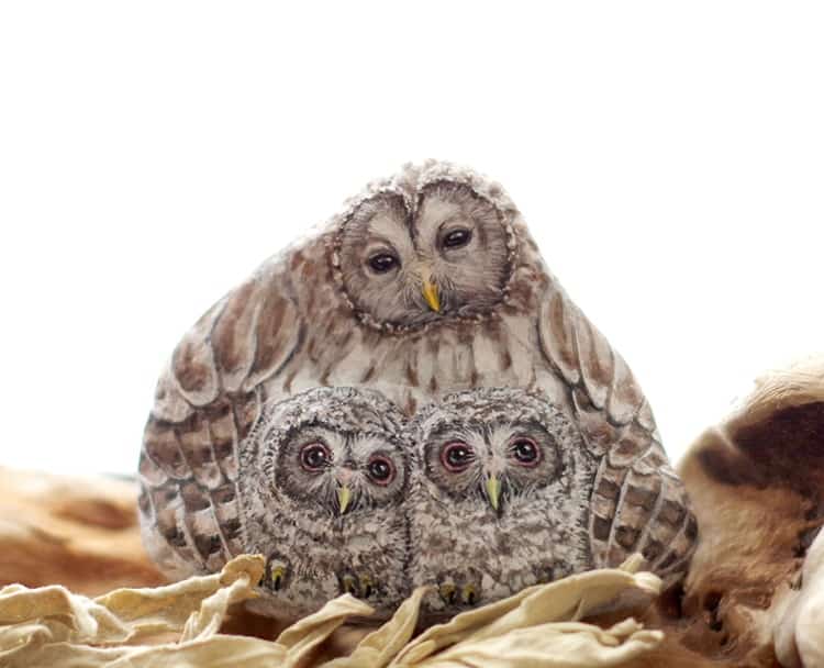 An image of an owl family painted on a stone by Akie Nakata