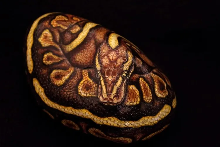 An image of a snake painted on a stone by Akie Nakata