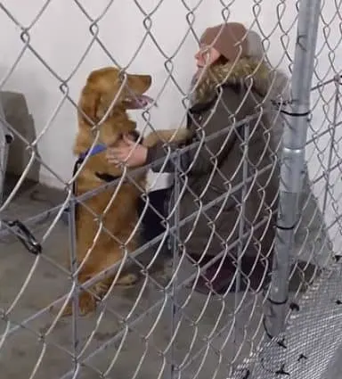 Kate Olson and her dog Walter inside kennel - rescue organization.