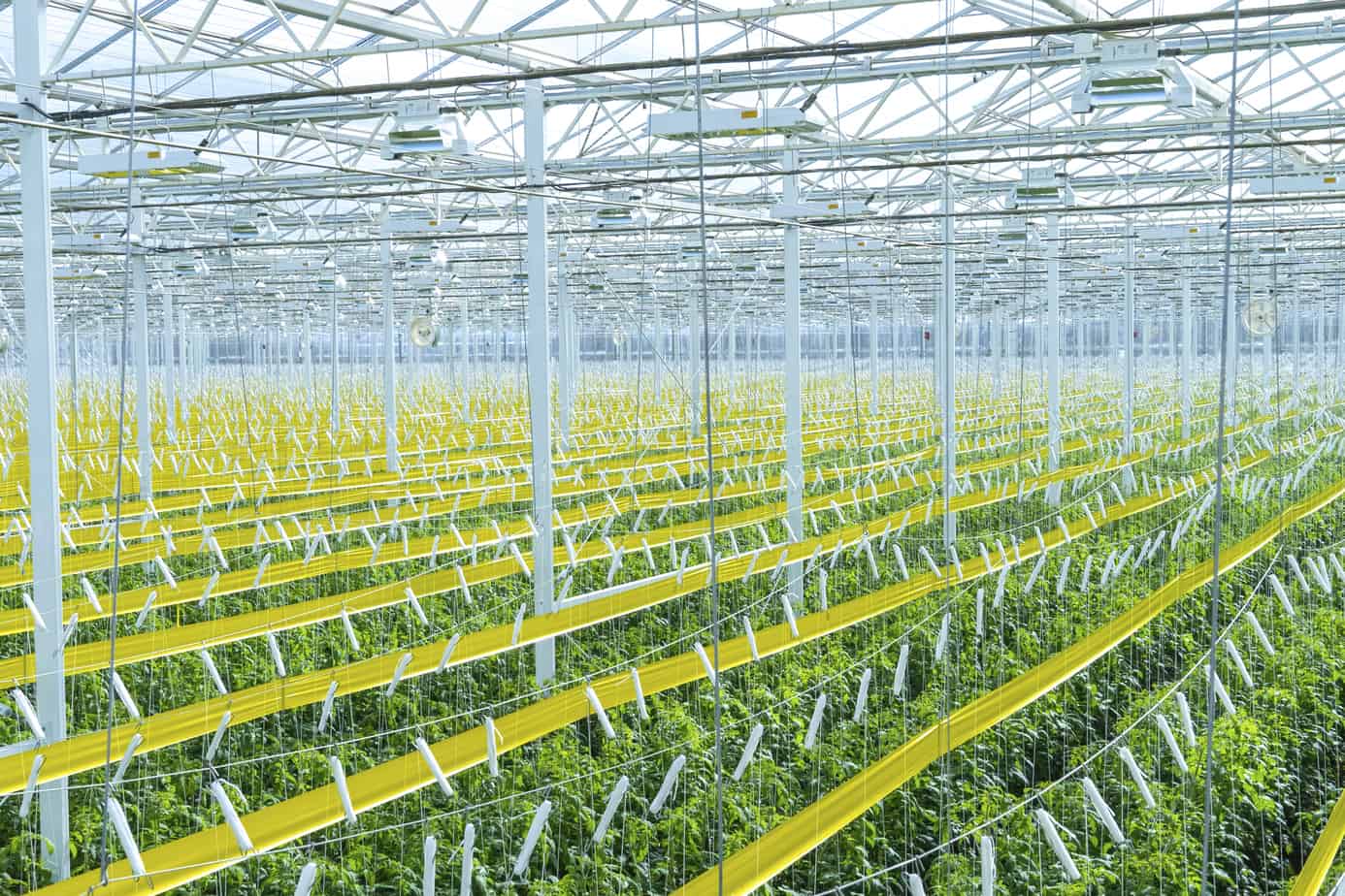AppHarvest's high-tech indoor farms