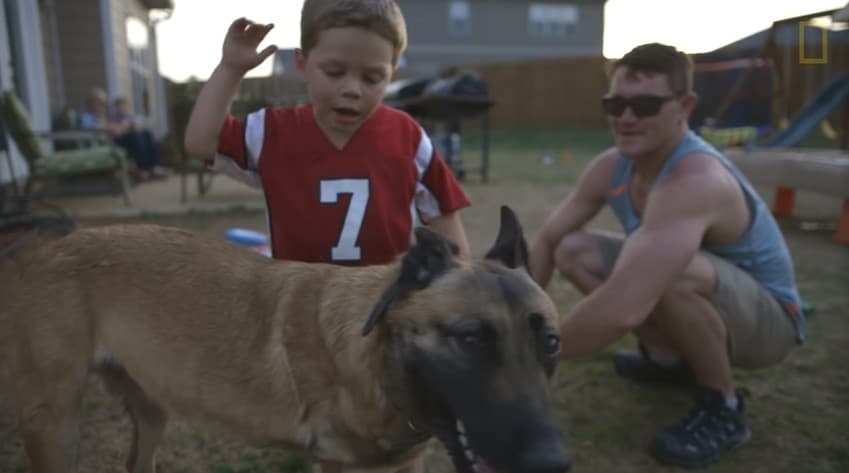 A Belgian Malinois dog with a little boy and a man