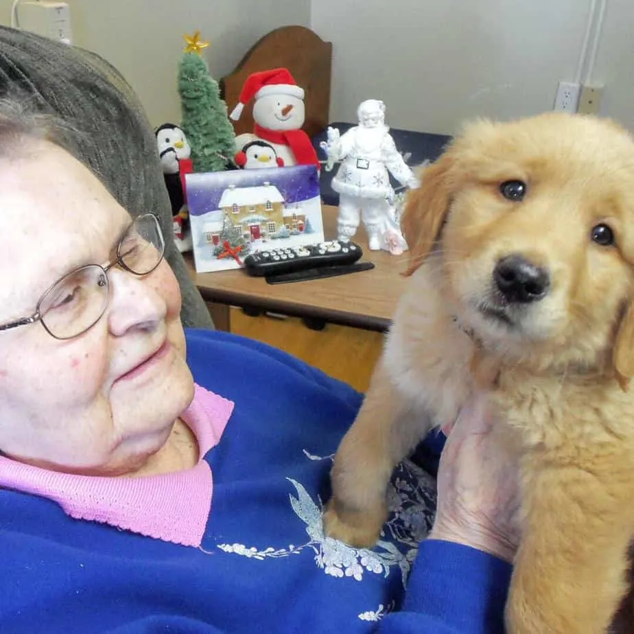 A female nursing home resident holding Gracie the golden retriever