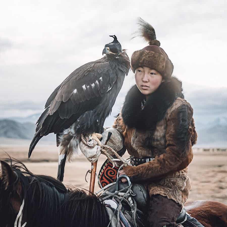 Mongolian female eagle hunter on a horse