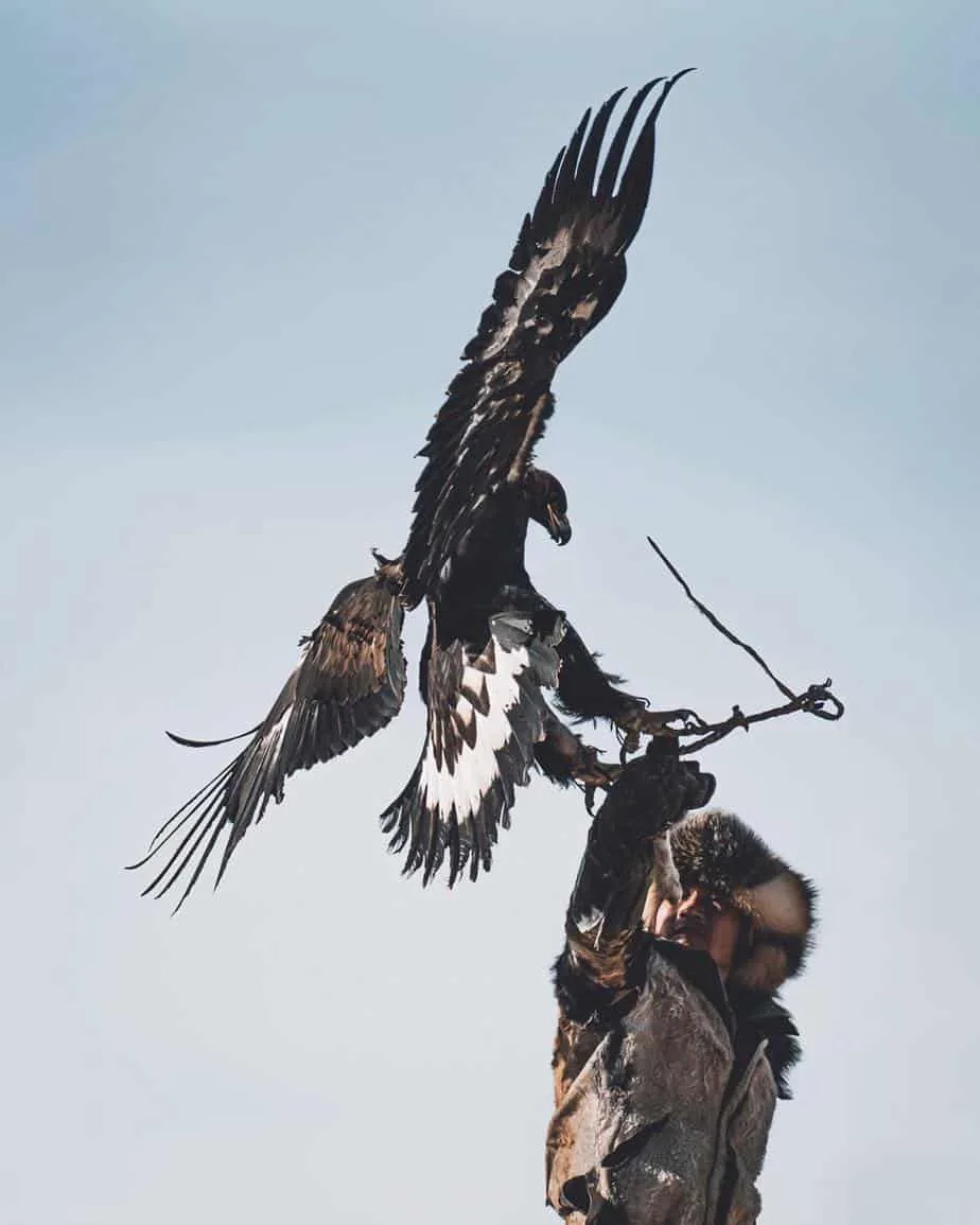 An eagle hunter with his eagle
