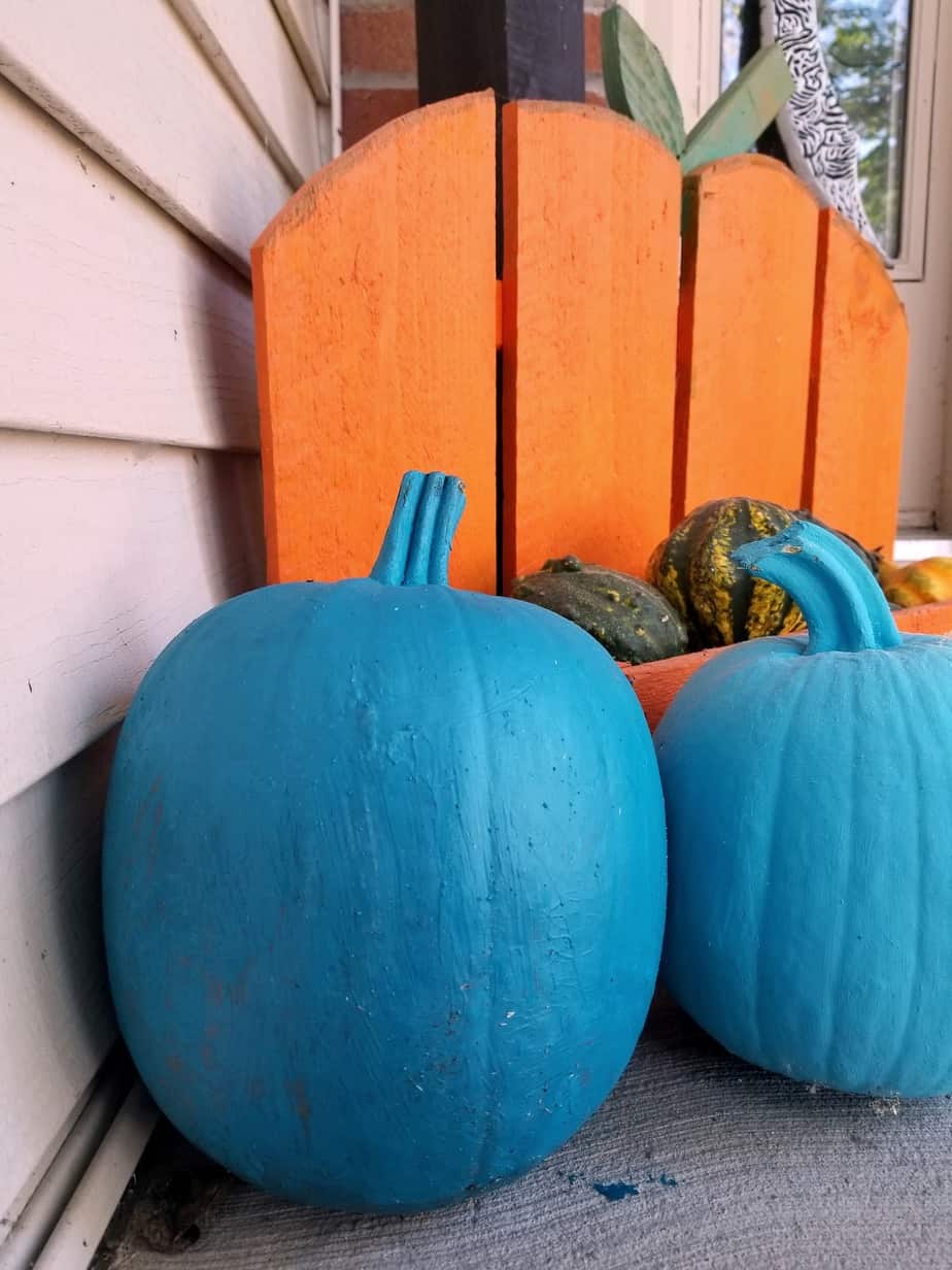 teal pumpkins
