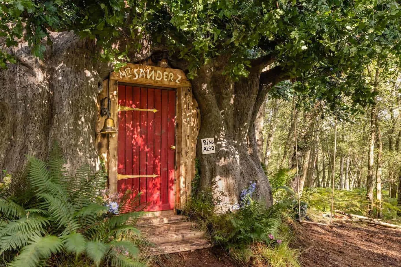 Winnie the Pooh-inspired Airbnb in the UK