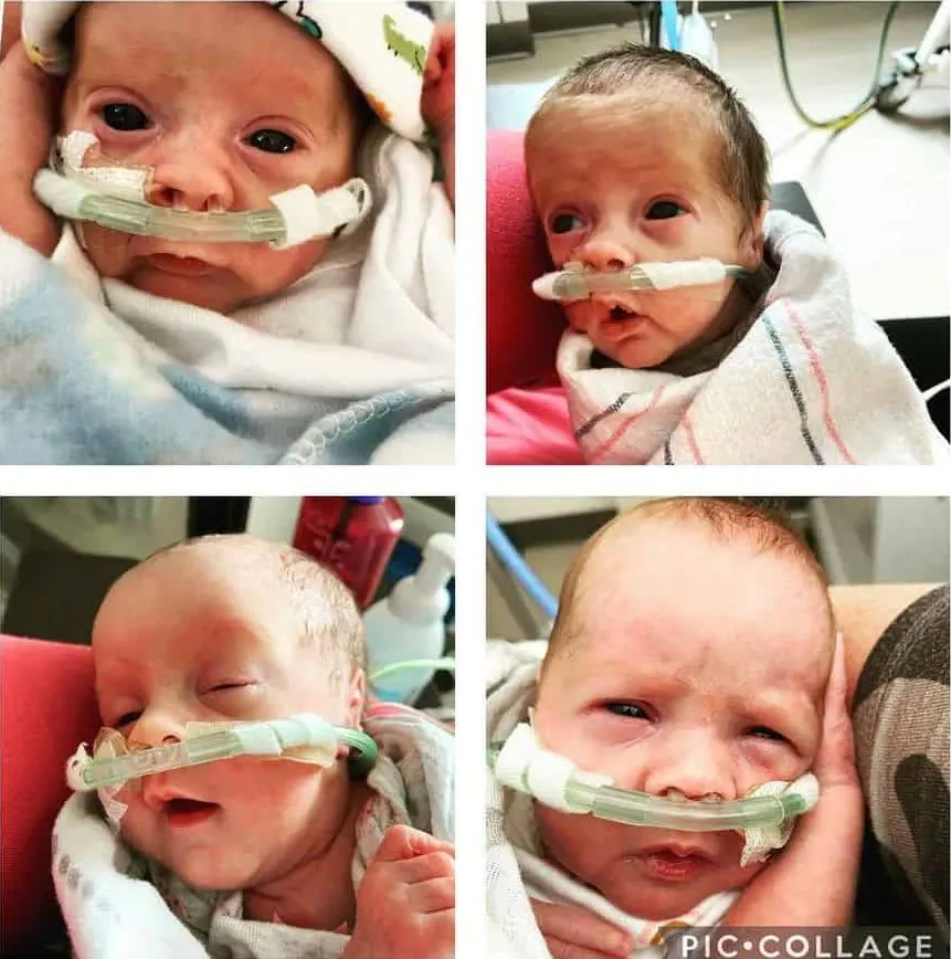 A photo collage of the Collier quadruplets