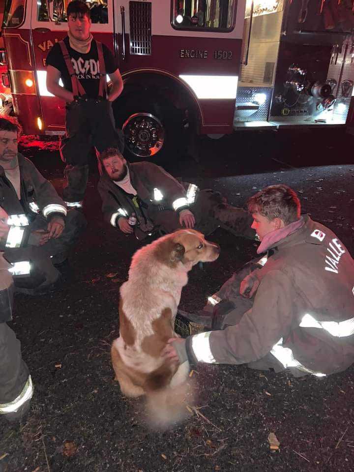 Cooper hanging out with firefighters