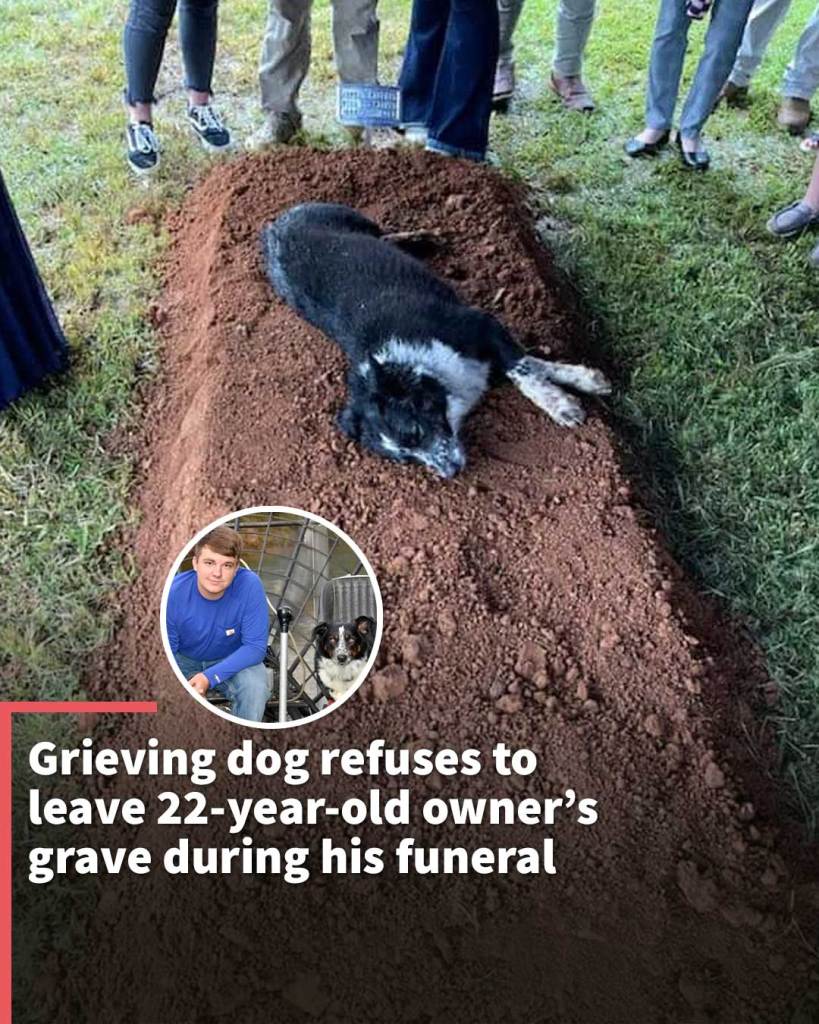 Grieving dog refuses to leave 22-year-old owner’s grave during his funeral