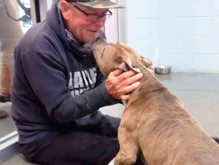Pat reuniting with his missing dog Blue at the Washington County Animal Shelter in Tennessee 