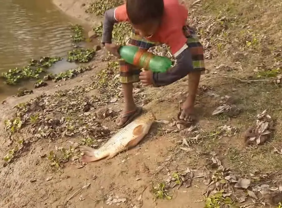 The young boy reeling in fish