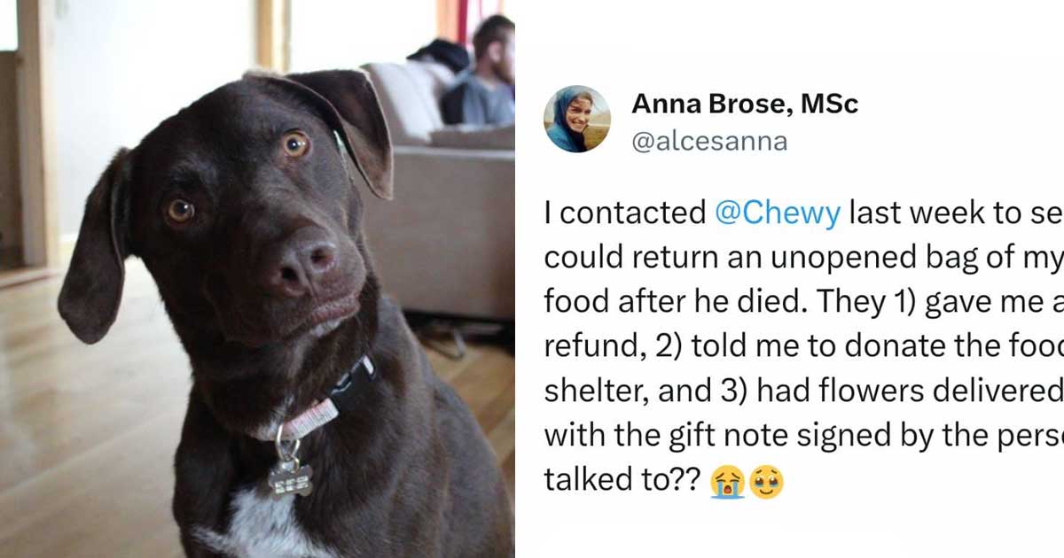Woman whose dog died tries to return unused pet food — and gets a sweet