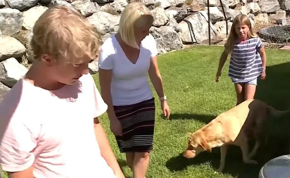 A family and a Labrador retriever in a backyard