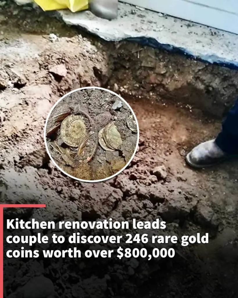 Kitchen renovation leads couple to discover 246 rare gold coins worth over $800,000