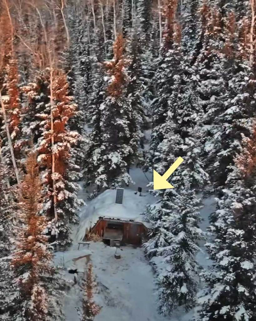 The tiny cabin buried under snow during middle.