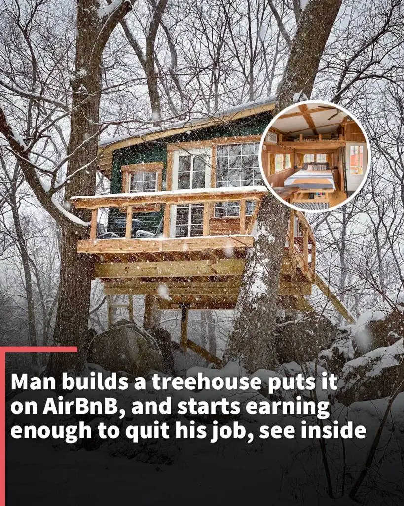 Man builds a treehouse puts it on AirBnB