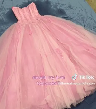 Wedding dress transforms into a Disney princess dress
