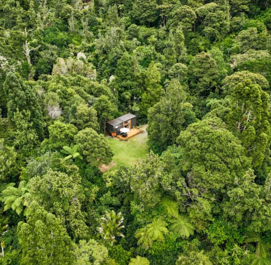 Aerial view of Chrstine's off-grid living forest tiny house.