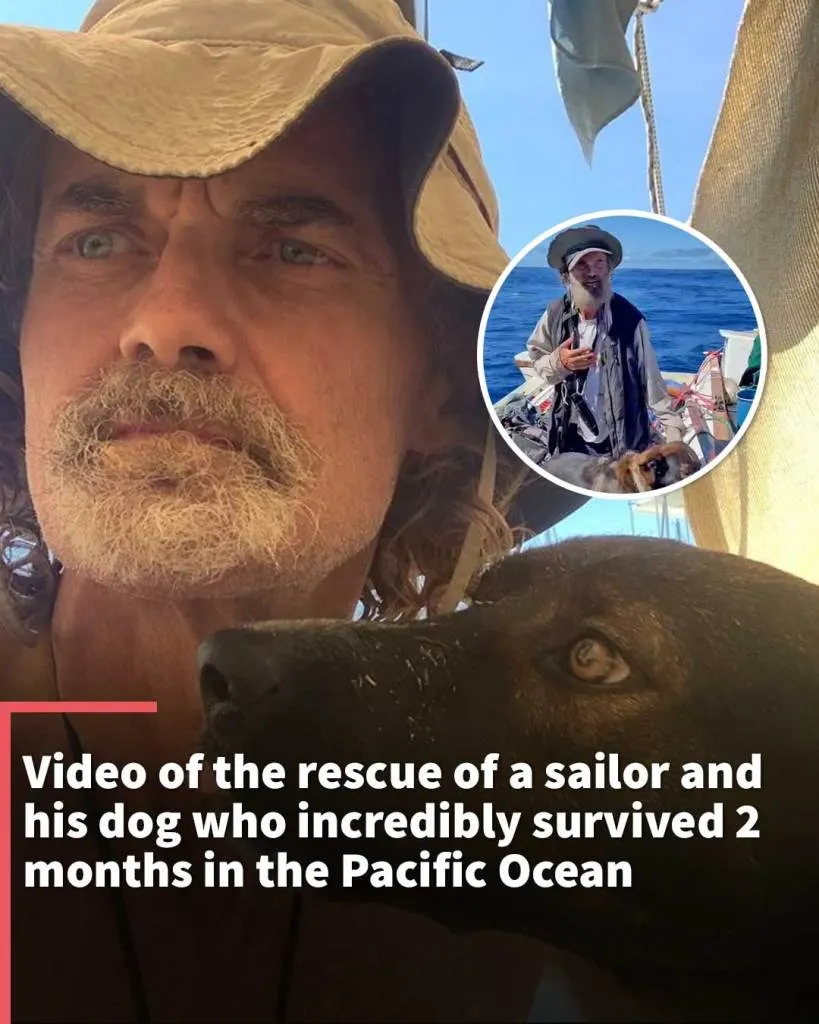 Castaway and his dog who survived months adrift at sea back on dry land