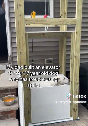 Dad builds a special elevator for dog who struggles with the stairs.