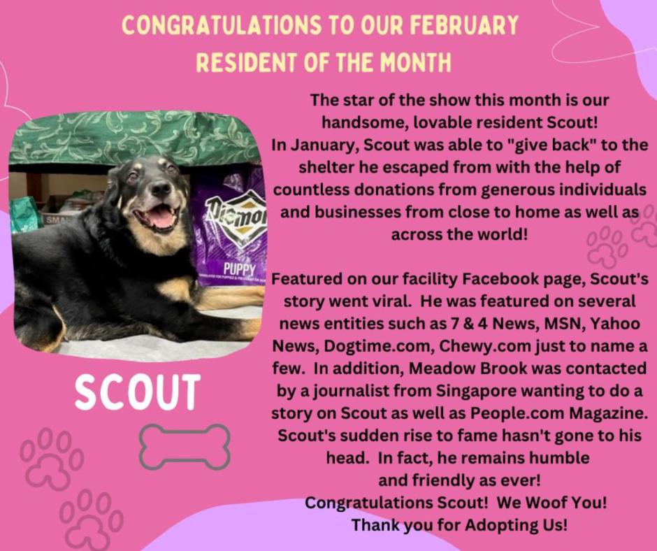 Meadow Brook Medical Care Facility's post, congratulating Scout for being the resident of the month.