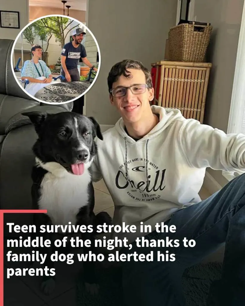 Teen stroke survivor thanks family dog for alerting parents in the middle of the night