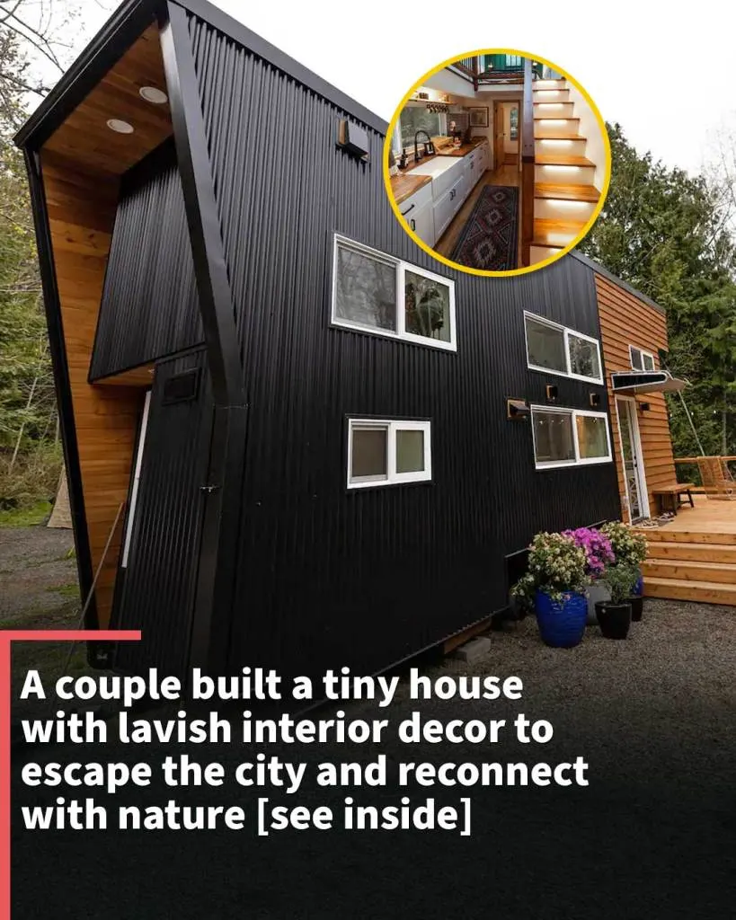Reductress » This Couple Built a Tiny House, But Now They Have to Live in It
