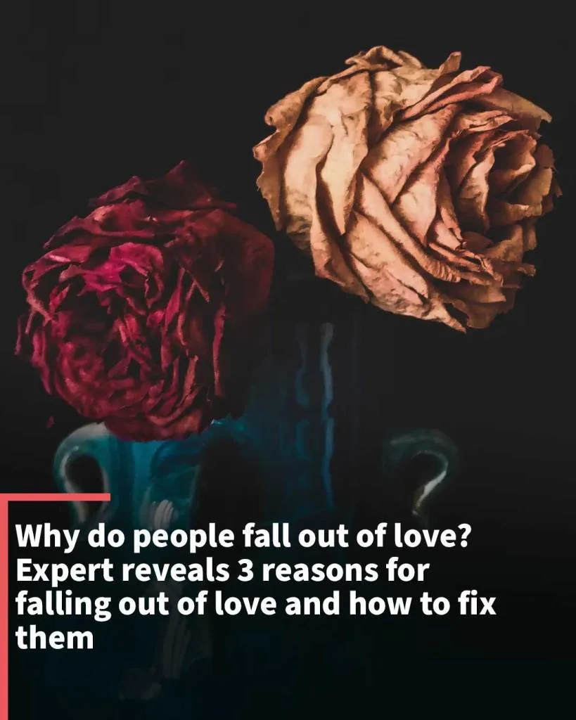 Why do people fall out of love? Expert reveals 3 reasons for falling out of love and how to fix them