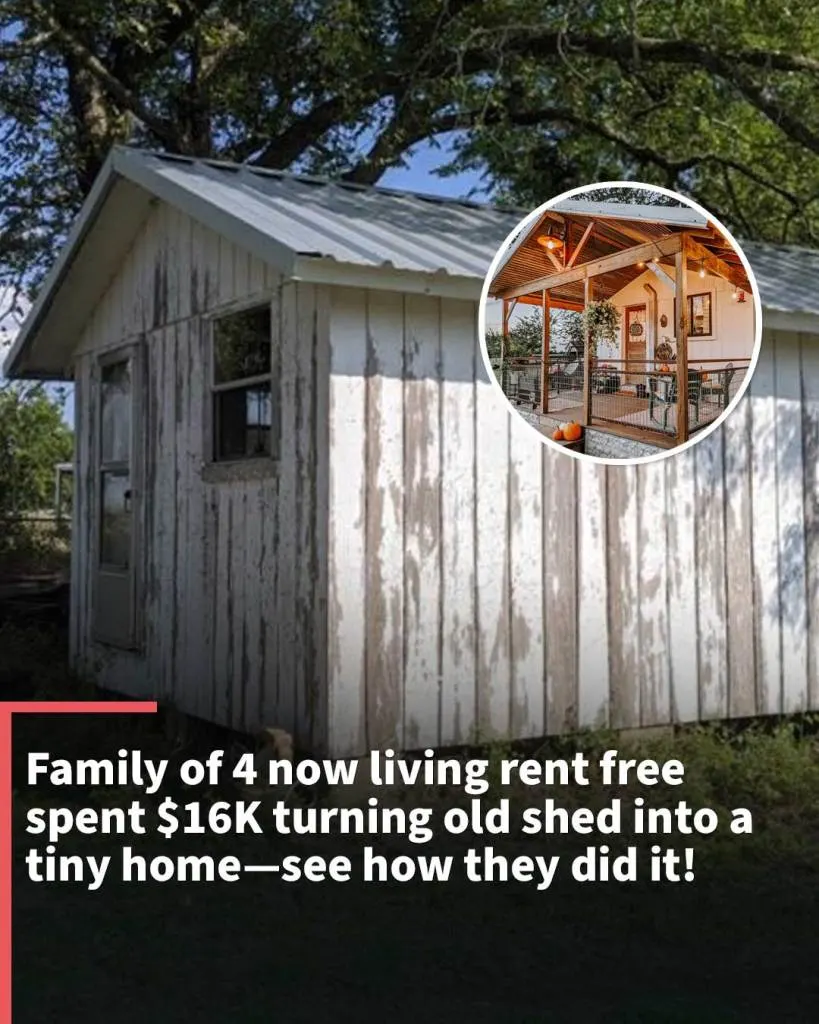 Family of 4 now living rent-free spent $16K turning old shed into a tiny home—see how they did it!