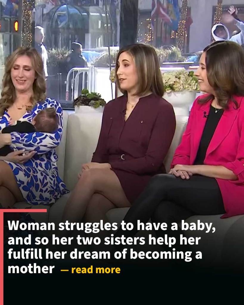 Woman struggles to have a baby, and so her two sisters help her fulfill her dream of becoming a mother