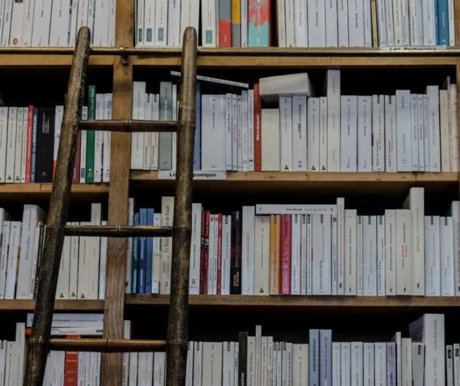 Bookshelf with ladder full of books