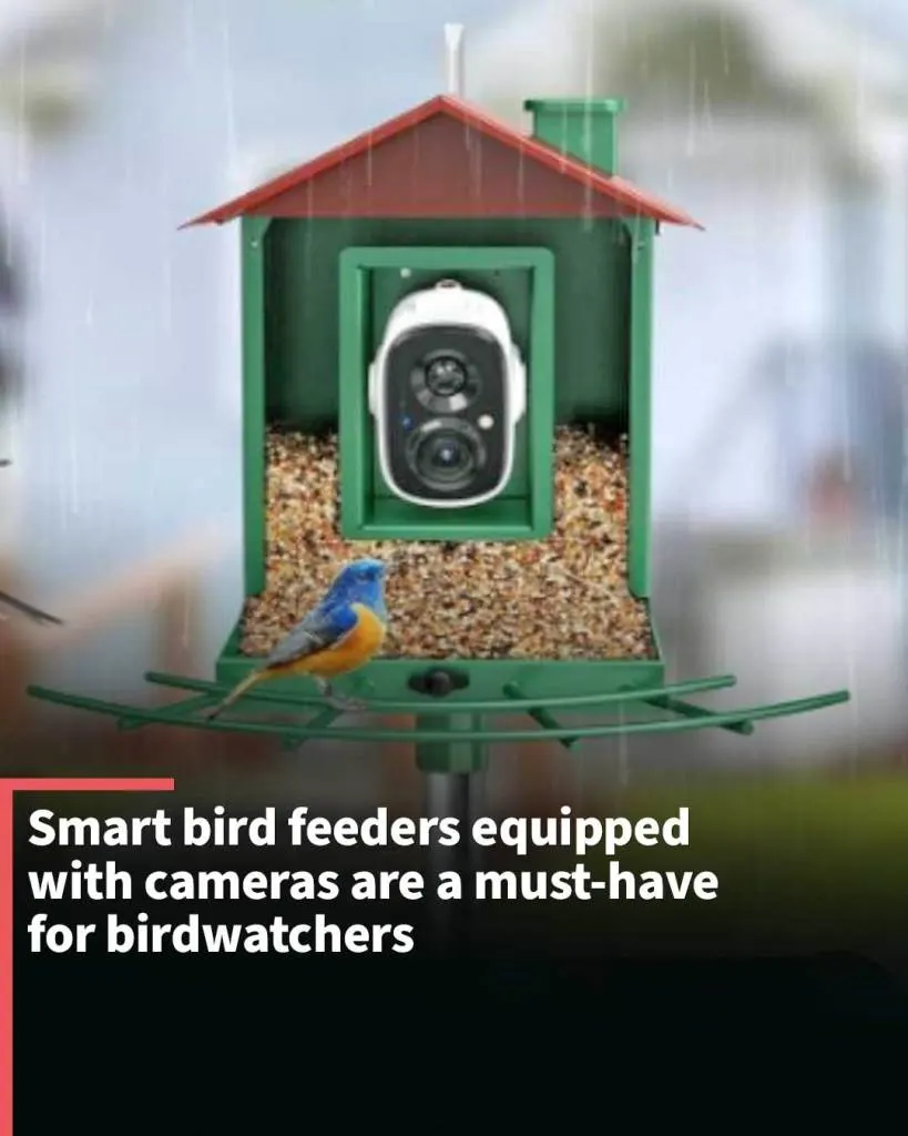 These smart bird feeders equipped with cameras are a must-have for birdwatchers
