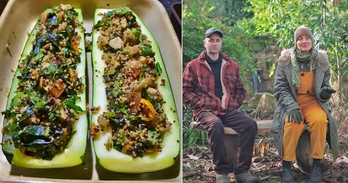 Off Grid Homestead Where Couple Grows 80 Percent Of Their Food preview