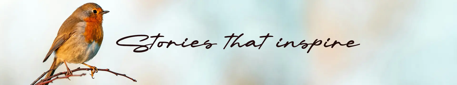 Stories that Inspire Banner